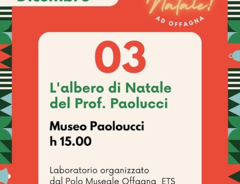 3 Dicembre: L’Albero di Natale del Prof. Paolucci – Un Natale di Creatività e Tradizione a Offagna!