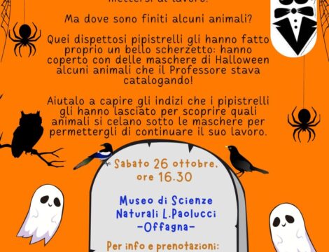 Halloween Shadows: Chi si nasconde sotto la maschera?